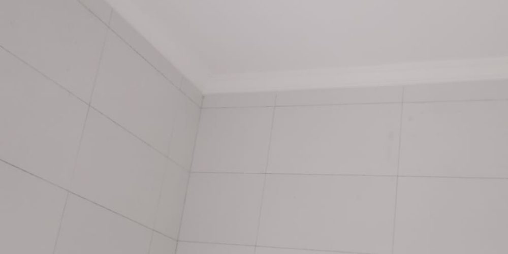 imobiliariavandanoronhacasaaluguel (6)